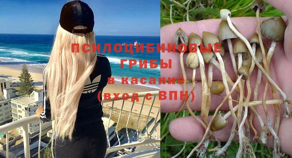 гидропоника Остров