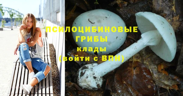 a pvp Осташков