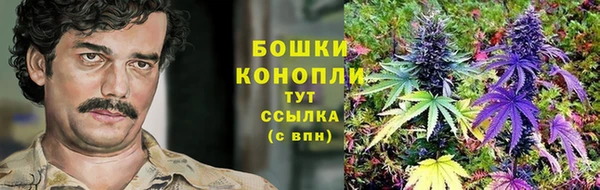 прущие грибы Нягань