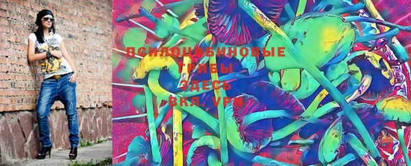 MDMA Няндома